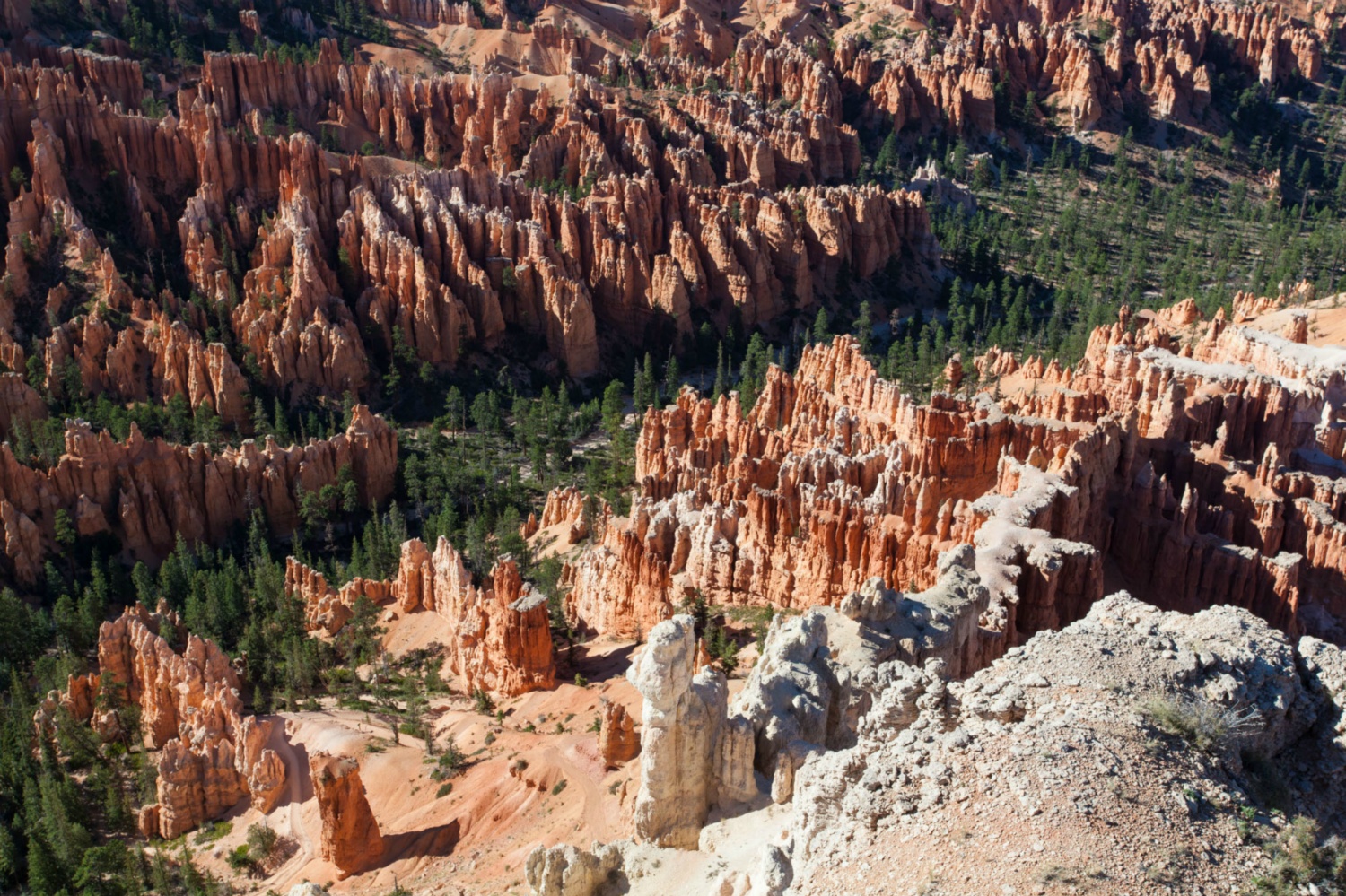 USA_Bryce Canyon_076